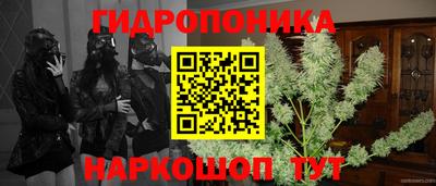 ALPHA PVP Комсомольск-на-Амуре