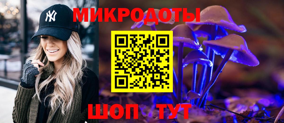 Псилоцибиновые грибы MAGIC MUSHROOMS  Вход с VPN  Петропавловск-Камчатский 
